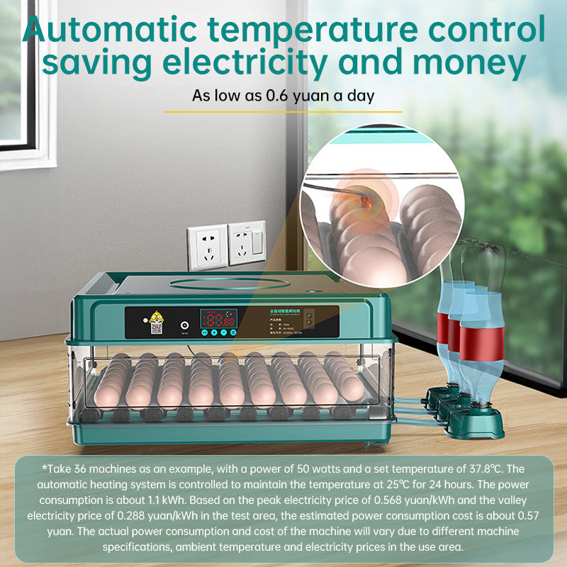 9–48 Egg Incubator — Easy Home Hatching (Auto Turn + Humidity Monitor)