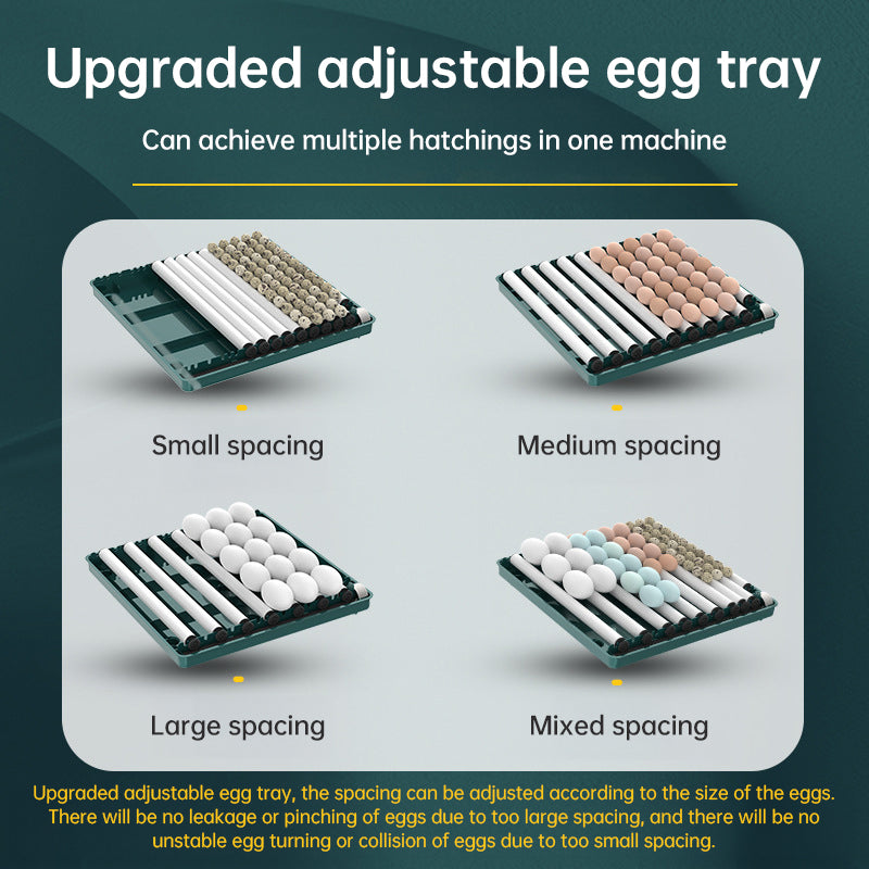9–48 Egg Incubator — Easy Home Hatching (Auto Turn + Humidity Monitor)