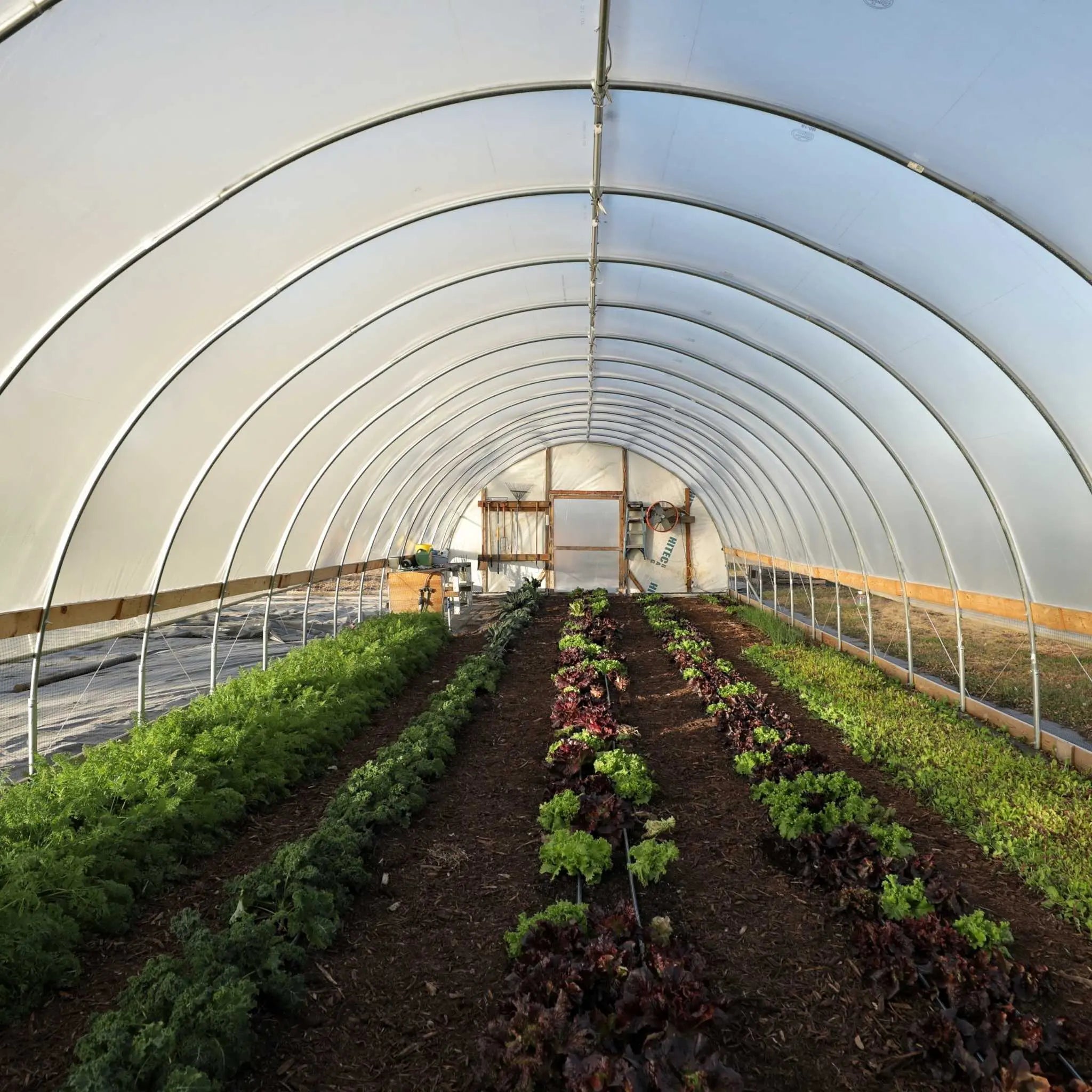 Bootstrap Farmer DIY Polytunnel Coop - 16 ft Wide Hoop House
