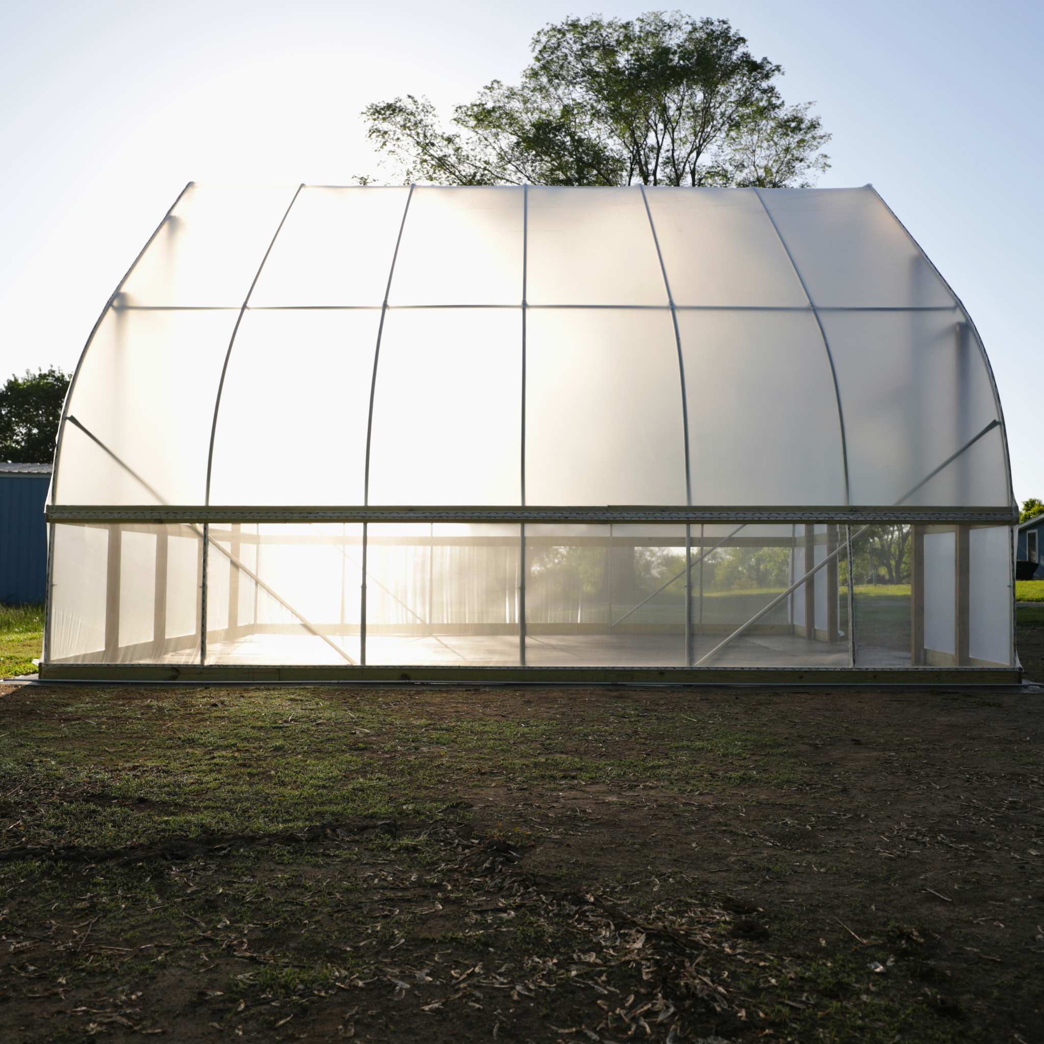 Bootstrap Farmer DIY Gothic Polytunnel Hoop Coop