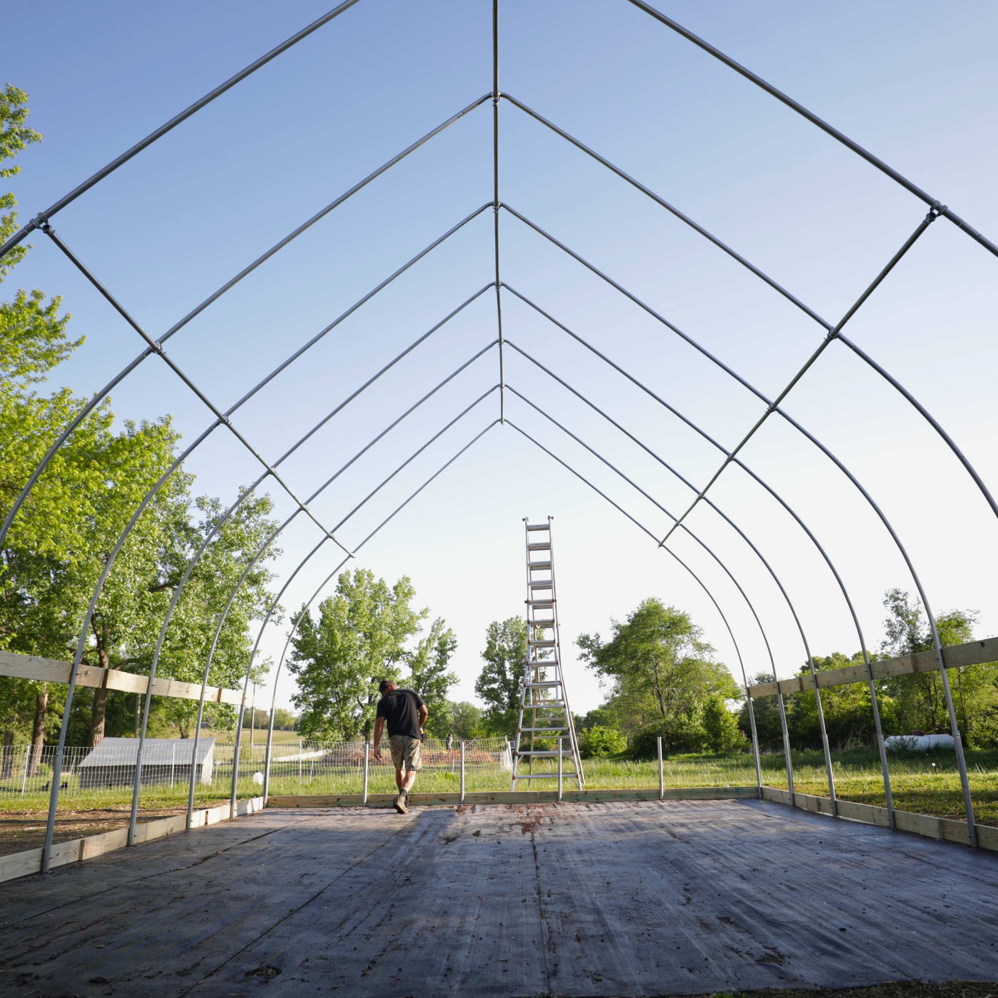 Bootstrap Farmer DIY Gothic Polytunnel Hoop Coop