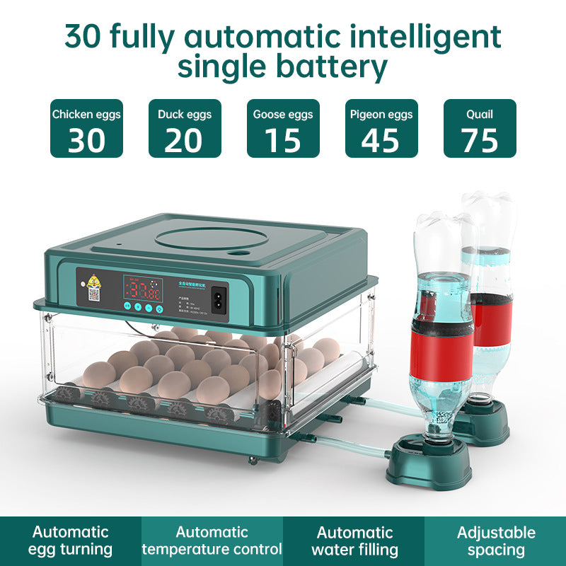 9–48 Egg Incubator — Easy Home Hatching (Auto Turn + Humidity Monitor)