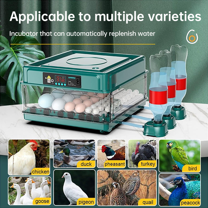 9–48 Egg Incubator — Easy Home Hatching (Auto Turn + Humidity Monitor)
