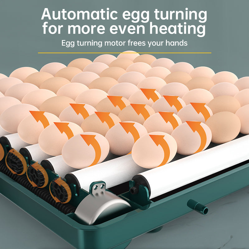 9–48 Egg Incubator — Easy Home Hatching (Auto Turn + Humidity Monitor)
